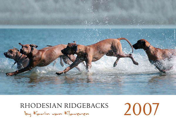 Rhodesian Ridgeback Kalender 2007 by KvK